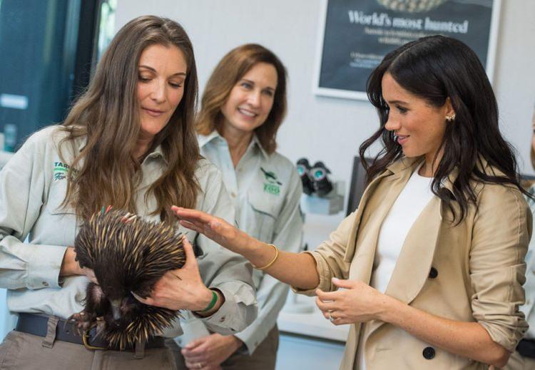 <p>Taronga Hayvanat Bahçesini ziyaret eden çifte birçok vatandaş hediyeler verdi.</p>
