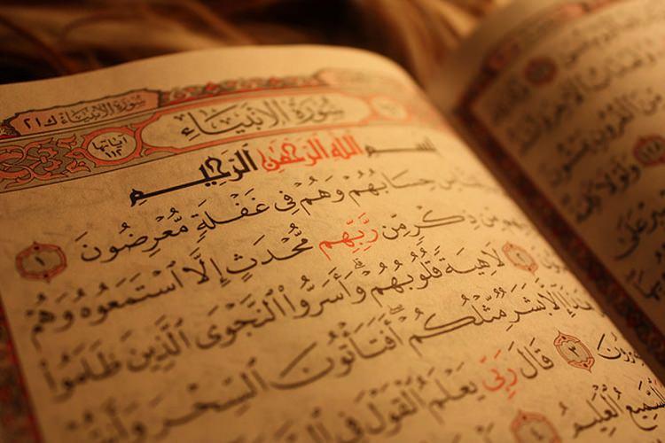 <p>37- "<strong>Ölüyü üç şey takip eder: Ailesi, malı ve ameli. İkisi geri döner; biri kalır: Ailesi ve malı geri döner; ameli ise kalır."</strong></p>

<p><span style="color:#800080">[Buhârî, Rikak, 11/315]</span></p>
