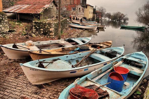 <p>441- Bursa, Türkiye</p>
<p> </p>
<p>Yaşam Maliyeti Endeksi: 40.26 </p>