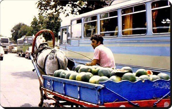 <p>At arabasında karpuzlar (1970'li yıllar)</p>

<p> </p>
