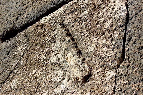 <p>Adıyaman’ın Gerger ilçesinde Fırat Nehri’ne hakim bir tepede yaklaşık 2 ay önce köylülerin ihbarı üzerine bulunan Roma Dönemi'ne ait askeri gözetleme kulesinin ilginç özellikleri ortaya çıktı. Yaklaşık 500 kilo ile 2 ton ağırlığındaki taşların üst üste konularak harç kullanılmadan yapılan kule yaklaşık 2 bin yıldır ayakta duruyor.</p>
