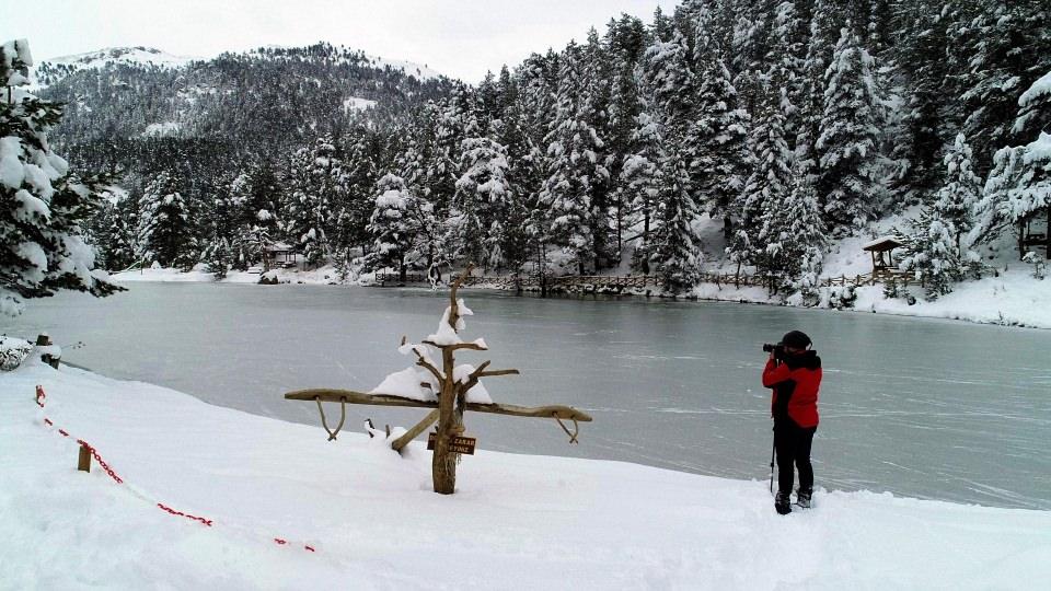 <p>Eroğlu, Limni Gölü Tabiat Parkı'nı geçen yıl 100 bini aşkın yerli ve yabancı turistin ziyaret ettiği bilgisini vererek, son dönemlerde tatil için bölgeyi tercih eden Arap turistlerin yoğun ilgisiyle karşılaştıklarını bildirdi. </p>
<p> </p>