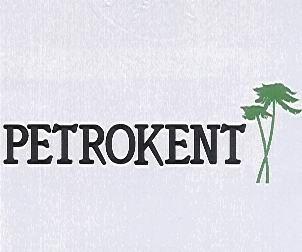 <p><span style="color:#FFD700"><strong>Hisse Adı: Petrokent Turizm</strong></span><br />
2017.09: 4,378,414<br />
2018.09: 13,618,172<br />
Net değişim: 9,239,758<br />
​% değişim: 211,03</p>

