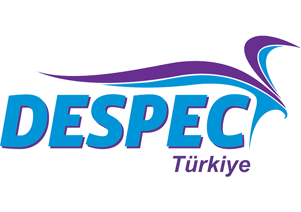 <p><span style="color:#FFD700"><strong>Hisse Adı: Despec Bilgisayar</strong></span><br />
2017.09:&nbsp; 5,163,149<br />
2018.09: 19,951,975<br />
Net değişim: 14,788,826<br />
​% değişim: 286,43</p>
