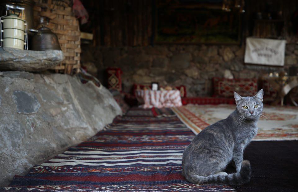 <p><strong>Uysal, restorasyonun 4 yıl sürdüğünü belirterek, şunları kaydetti:</strong></p>

<p>"Her türlü izini alındıktan sonra tarihi dokuya zarar vermeden aslına uygun restore edildi. Bahçesinde de çevre dizaynı yaptık. Yaklaşık 900 metrekare civarında. İş adamlığını bırakıp emekliliğin de tadını çıkarıyorum. Restoranımızda da kahvaltı ve yemek türlerini sunuyoruz. Özellikle köy kahvaltımızda doğal ürünlere ağırlık veriyoruz. Bölgede kırsal alanlarda yaşayanlarca yapılan ürünleri veriyoruz kahvaltıda. Gözleme için hazır yufka kullanmıyor, burada çalışan kadınlarımız anlık olarak açıyor. Doğum günü ve özel günlerde de halkımıza hizmet veriyorum. Üst katında da kendim yaşıyorum." </p>
