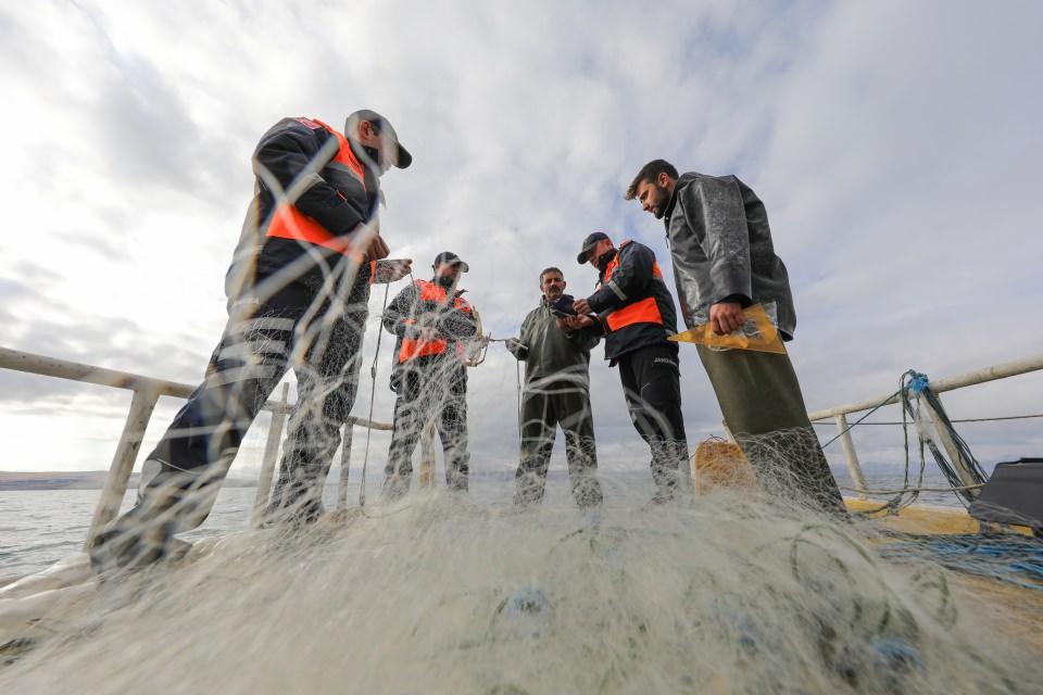 <p>Flamingo başta olmak üzere Türkiye'deki yüzlerce kuş türünden 213'ünün gözlemlendiği göldeki sazlık alanları da sürekli denetleyen ekip, kentin en büyük turizm değeri olan Akdamar Adası'nı korumak için bünyesindeki botla sürekli devriye atıyor. </p>
<p> </p>