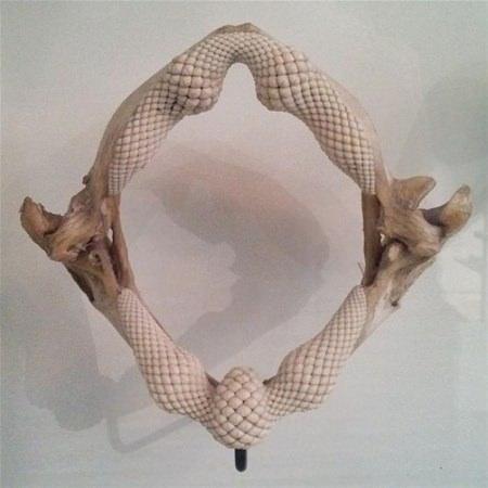 <p>Bir vatozun çenesi ve dişleri.</p>

<p> </p>
