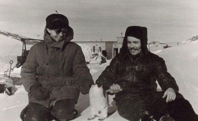 <p>Leonid Rogozov, Antartika'da kutup üssü inşaatında görevli bir ekibin üyesiydi. Apandisitiyle ilgili bir problem yaşadı ancak hastaneye gitmesi imkansızdı. Çok az anestezi ile kendi apandisit ameliyatını yapmak zorunda kaldı. </p>
<p> </p>