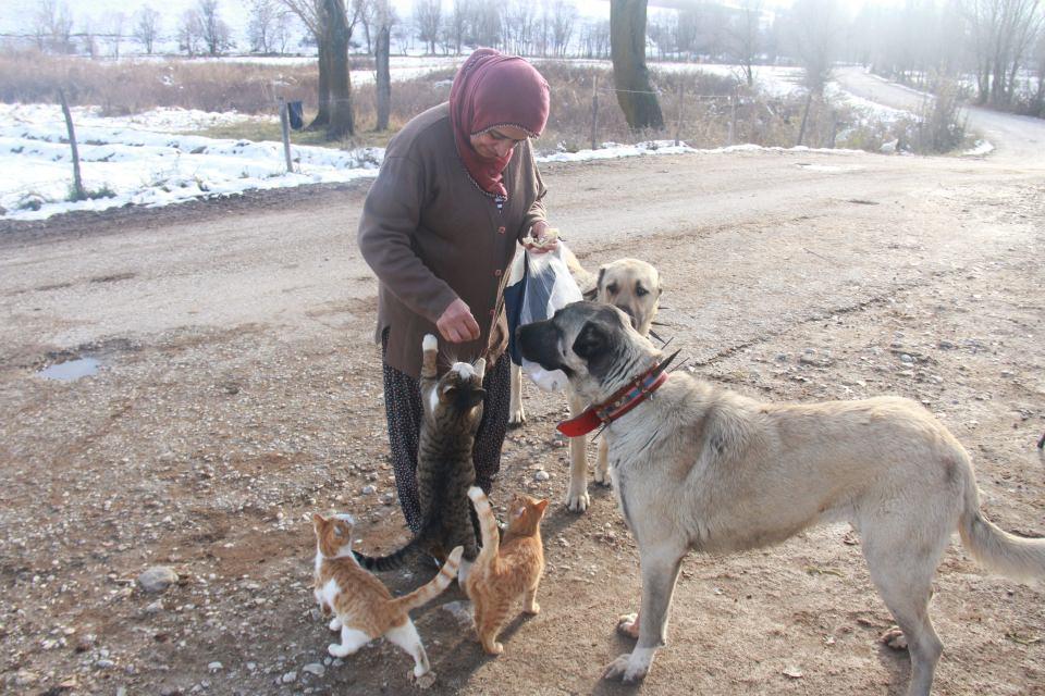 <p>Çeri, "Köpeklerime ve kedilerine çok düşkünüm. Kedilerimden birini kapının önünde buldum. Kucağıma koyup ahıra getirdim. Ahırın önünde bağlı olan köpekler kediyi görünce kızdılar, havladılar. </p>

<p> </p>
