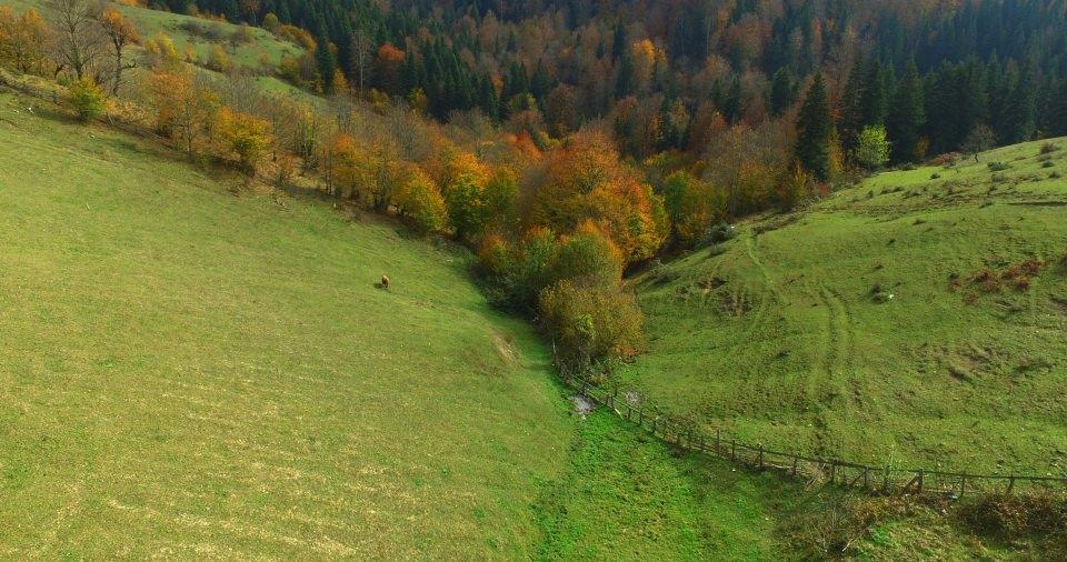 <p>Sinop Kültür ve Turizm Derneği Başkanı Cemalettin Kaya, AA muhabirine yaptığı açıklamada, kentin dört mevsim gezilmesi ve görülmesi gerektiğini söyledi. </p>
<p> </p>