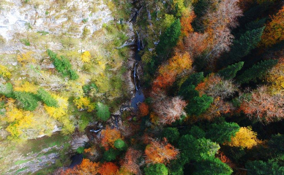 <p>Orman zengini bir kente sahip olduklarına işaret eden Kaya, Doğa Koruma ve Milli Parklar 10. Bölge Müdürlüğü bünyesinde yer alan tabiat parklarının kent turizmine önemli katkılar sunduğunu vurguladı.</p>
<p> </p>