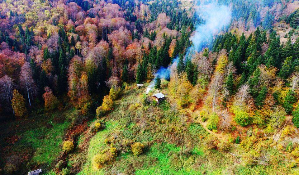 <p><strong>Kaya, yaz sezonunda Sinop'un tercih edilmesindeki önemli faktörlerden birinin de tabiat turizmi olduğuna işaret ederek, şunları dile getirdi:</strong></p>
<p>"Denizi, sahilleri ve tarihi dokusuyla ön plana çıkan kentimiz doğa güzellikleriyle de bu mevsimde göz kamaştırıyor. Zaten bilindiği gibi Sinop orman açısından çok zengin bir il. Özellikle Erfelek, Ayancık, Türkeli gibi ilçelerimizde çok gür ormanlara sahibiz. Ormanlar doğal yapıları gereği bu mevsimde görsel anlamda büyüleyici oluyorlar. Bunlara bir de tabiat parklarımız eklenince müthiş görüntüler ortaya çıkıyor. Biz herkesin bu güzellikleri görmesinden yanayız." </p>