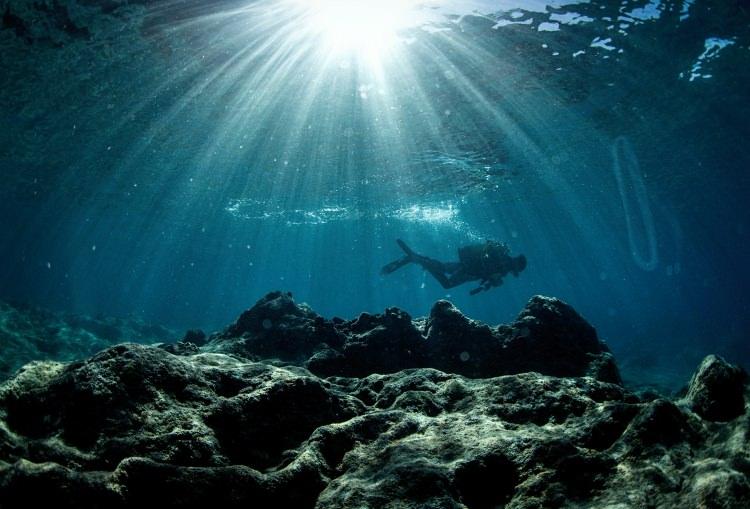 <p>Yaklaşık 15 yıldır dalış yaparak Akdeniz'deki canlı yaşamını takip eden, İskenderun Üniversitesi Deniz Bilimleri Fakültesi'nde yüksek lisans yapan dalış eğitmeni Mahmut İğde, AA muhabirine, Hatay'ın Samandağ sahillerinin 14,4 kilometrelik uzunluğu ile dünyanın en uzun onuncu sahili olduğunu söyledi.</p>

<p> </p>
