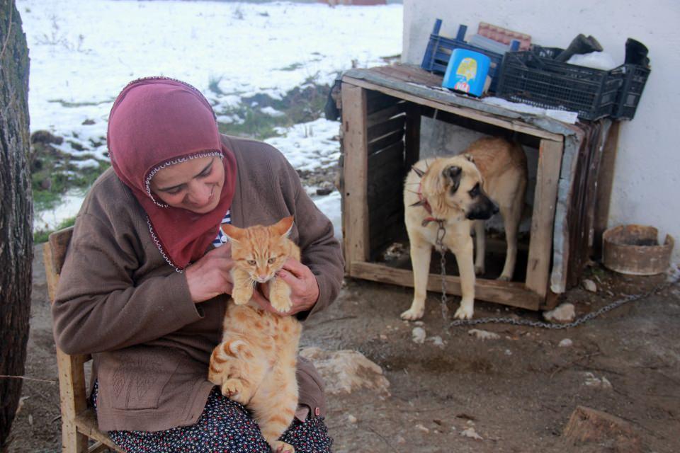 <p>Ben de köpeklere kızdım ve 'hayır bunlar bizim kedilerimiz karışmayacaksınız' dedim. Ondan sonra köpekler ve kediler birbirini sevmeye başladı. Kediler, köpeklerin kucağında yatıyor, birlikte yemek yiyorlar." diye konuştu. </p>
