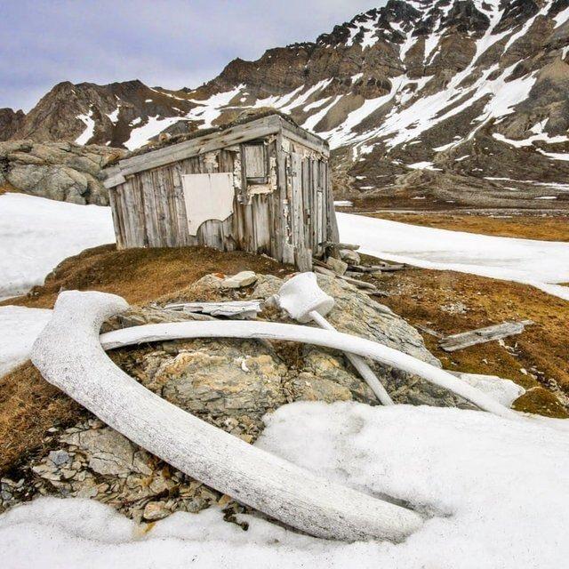<p>Whaler's Hut, Svalbard, Norveç - Chris Dobbs</p>