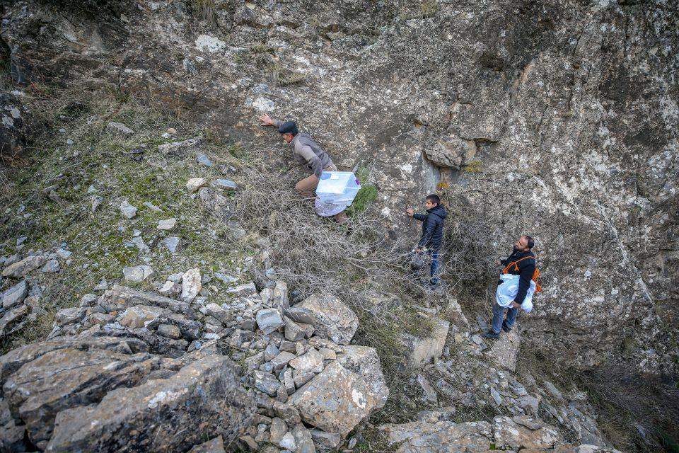 <p><strong>"Balı gördüğümüzde tehlikeyi unutuyoruz"</strong></p>
<p>Aslan Semo, AA muhabirine, yaban arılarının genellikle dağlık alanlarda bal yaptığını ve bunun da işlerini zorlaştırdığını söyledi. </p>