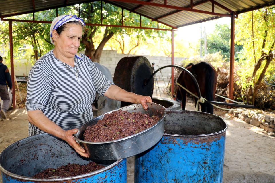 <p>Yıllık üretimlerinin zeytinlerin verimine göre 7-8 ton arasında gerçekleştiğini kaydeden Çelik, bu yıl da üretime yeni başladıklarını ve bereketli bir yıl olmasını beklediklerini söyledi.</p>
