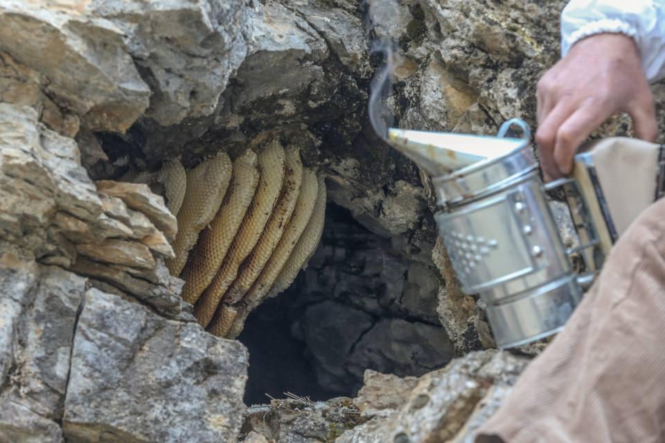 <p>Riski minimuma indirmeye çalışıyoruz. Balı kestiğimizde de bu zorluğu unutuyoruz. Nadir bulunan bir bal olduğu için talep çok fazla oluyor.</p>