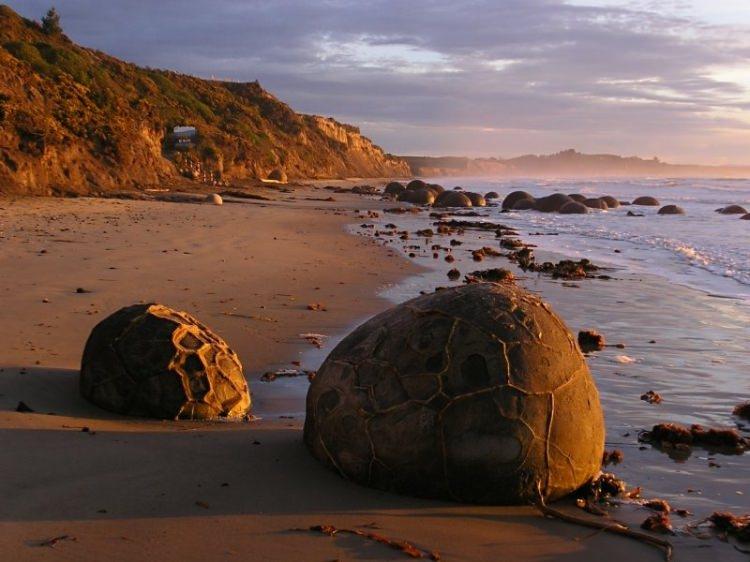 <p>Moeraki Boulders: (Yeni Zelanda) devasa kayalar okyanus tabanında oluşturmaya başladı erozyonla sahilde kaldı.</p>

<p> </p>
