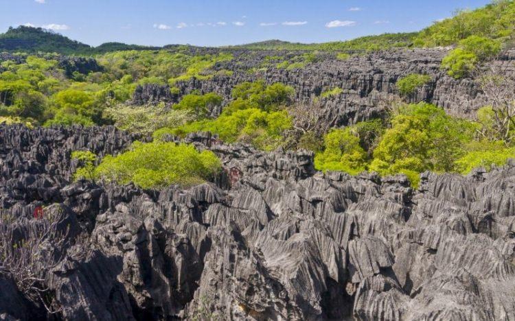 <p>Ankarana National Park, Kuzey Madagaskar</p>
