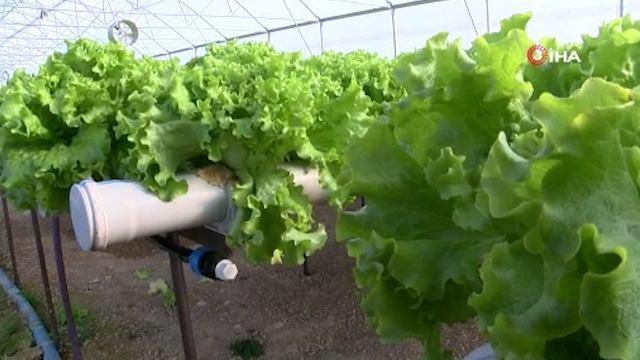 <p>&ldquo;Yıllık 100 bin TL gelir bekliyor&rdquo;&nbsp;</p>

<p><br />
Kurulan sistemden yıllık ortalama 100 bin TL kazan&ccedil; elde etmeyi hedeflediğini aktaran Zeyrek, &ldquo;Bu da fındığın yanında bizim i&ccedil;in b&uuml;y&uuml;k bir avantaj. Hedef sadece gelir değil, orta &ouml;l&ccedil;ekli sera &ccedil;iftliği kurmak. Bu sayede de insanları da iş sahibi yaparak onların da kazanmalarını sağlamayı hedefliyoruz. Bu b&uuml;y&uuml;me yolunda da devletimizin katkısını bekliyoruz&rdquo; ifadelerini kullandı.</p>
