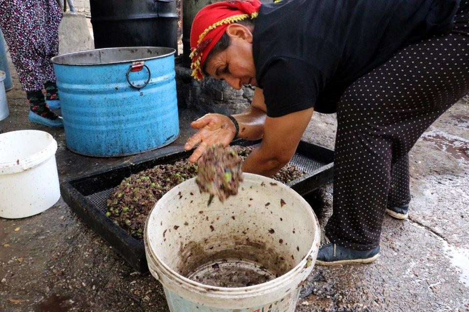 <p>Ürettiklerinin bir bölümünü yurt dışına sattıklarını ifade eden Çelik, "Çoğunlukla tüccarlara satıyoruz, onlar da yurt dışındaki alıcılarına gönderir. Son yıllarda çok fazla talep olmaya başladı. Kendimiz de yurt dışına gönderiyoruz özellikle Almanya, Avusturya, Yunanistan ve Fransa'da müşterilerimiz var." diye konuştu.</p>
