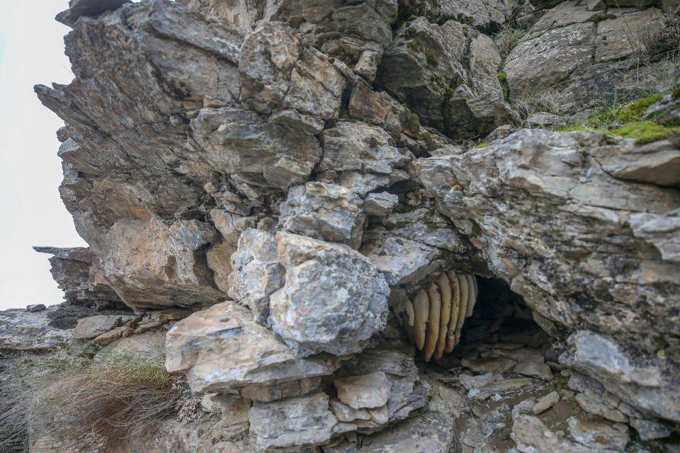 <p>Bugün de bayağı zorluk çektik. İpleri bağladıktan sonra sarkarak bala ulaşmaya çalışıyoruz. Güvenlik önlemini alıyoruz. </p>
