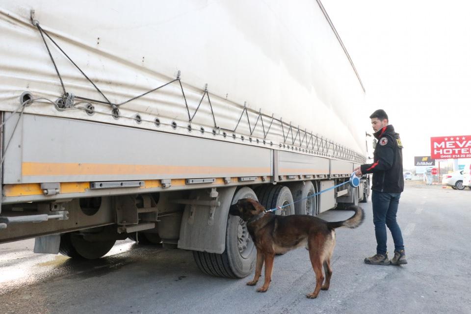 <p>Odin'in de katıldığı aramalarda, tırın dorsesindeki hayvan yağları arasında, Cumhuriyet tarihinde tek operasyonda ele geçirilen en büyük eroin miktarı olan 1 ton 271 kilogram eroin ele geçirildi.</p>
<p> </p>