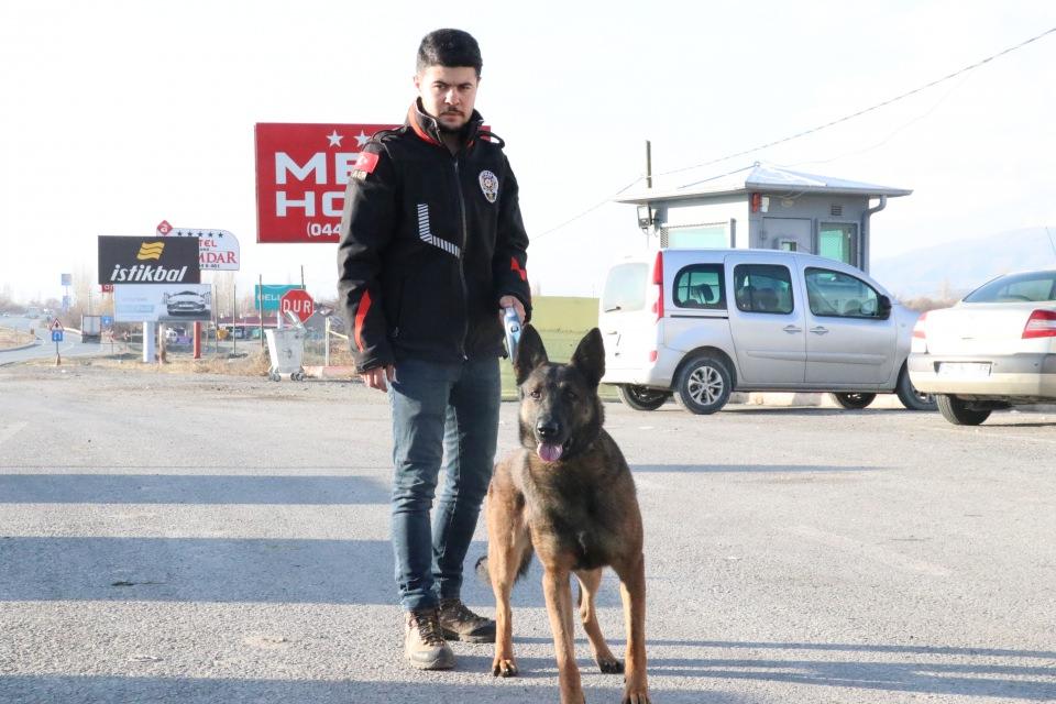 <p>Erzincan'da, 3 gün önce polislerce uygulama noktasında durdurulan tırda, 1 ton 271 kilogram eroinin yakalamasına katkı sağlayan narkotik dedektör köpeği Odin, bu başarısıyla hassas burunlar arasında "bir operasyonda en fazla eroin yakalatan köpek" olarak tarihe geçti.</p>
