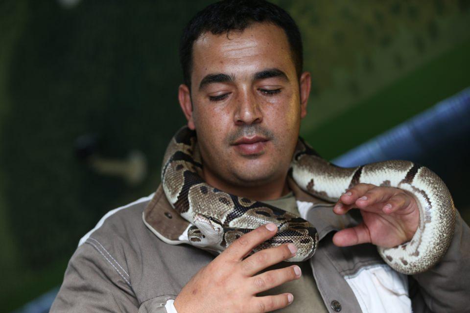 <p>Kayseri'de yaşayan 33 yaşındaki Fatih Özkal, insanların yaklaşmaya bile cesaret edemediği birbirinden tehlikeli 12 yılanın bakıcılığını yapıyor.</p>
