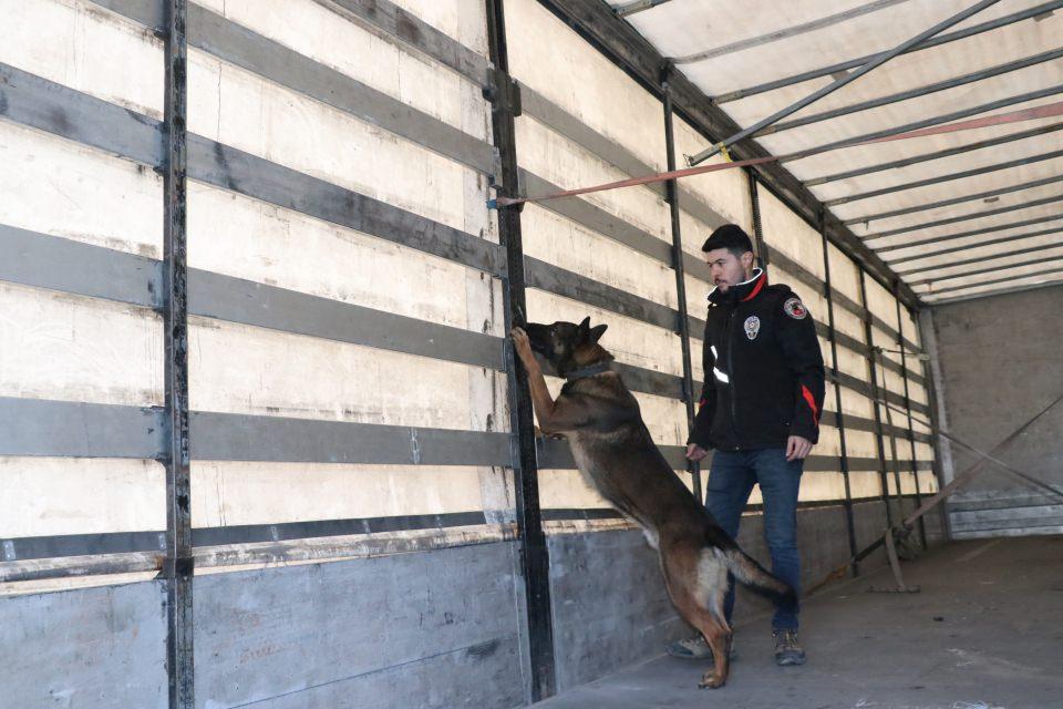 <p>Bu başarısı sebebiyle bol mama ile ödüllendirilen Odin, uyuşturucu tacirlerinin korkulu rüyası, uyuşturucunun doğudan batıya sevkinde hassas bir güzergahta görev alan Erzincan polisinin de göz bebeği oldu.</p>
<p> </p>