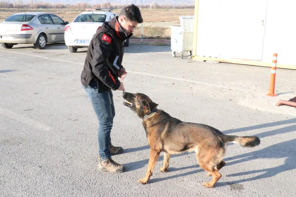 <p>Bu testlerde başarılı olduktan sonra polislerce görev köpeği olması kararlaştırılan Odin daha sonra hassas burnundan dolayı narkotik dedektör köpeği olarak yetiştirilmeye başlandı.</p>

<p> </p>
