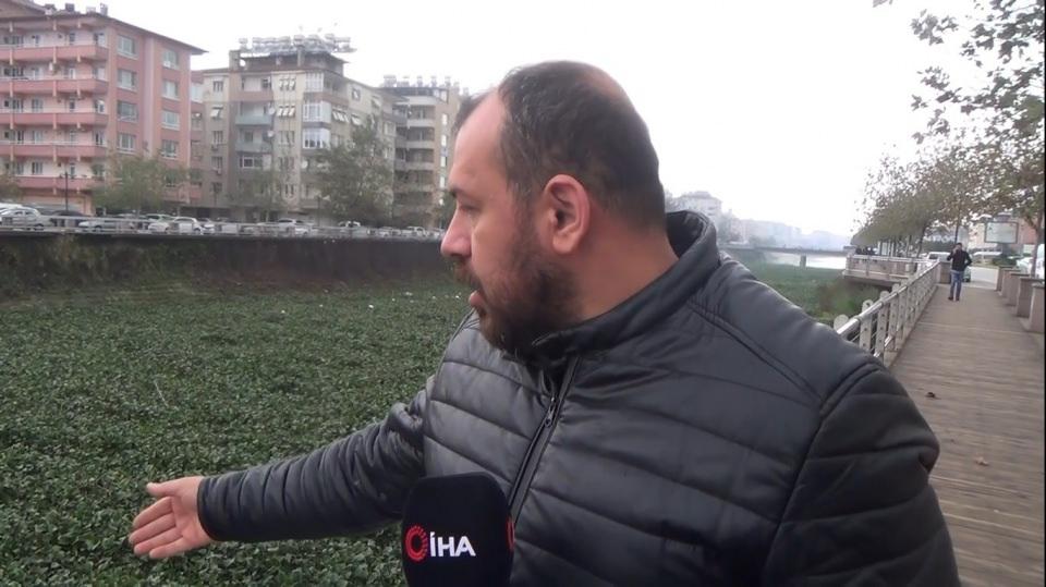 <p><strong>Büyükşehir belediyesi temizleme çalışmalarını sürdürüyor</strong><br />
<br />
Kış aylarında oluşan olumsuz hava koşullarıyla birlikte her sene Suriye taraflarından Hatay’a doğru geldiği tahmin edilen su sümbülleri, bu yıl sayısının artış göstermesiyle görenleri şaşırtan bir görüntüye neden oldu. </p>
<p> </p>
<p> </p>