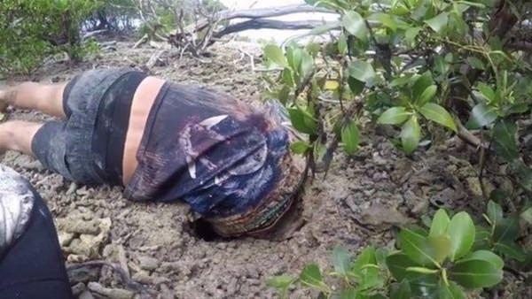 <p>Avustralyalı bir adam, toprağın altından devasa boyutta bir yengeç çıkardı. </p>

<p> </p>
