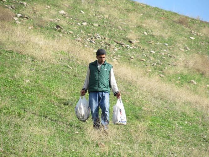 <p>Adıyaman'ın Gerger ilçesine bağlı köylerde yaşayan çiftçiler, havaların nemli olması nedeniyle yaşanan mantar bolluğuyla Atatürk Barajının kıyılarında yetişen mantarları toplayarak marketlere satıyor.</p>

<p> </p>
