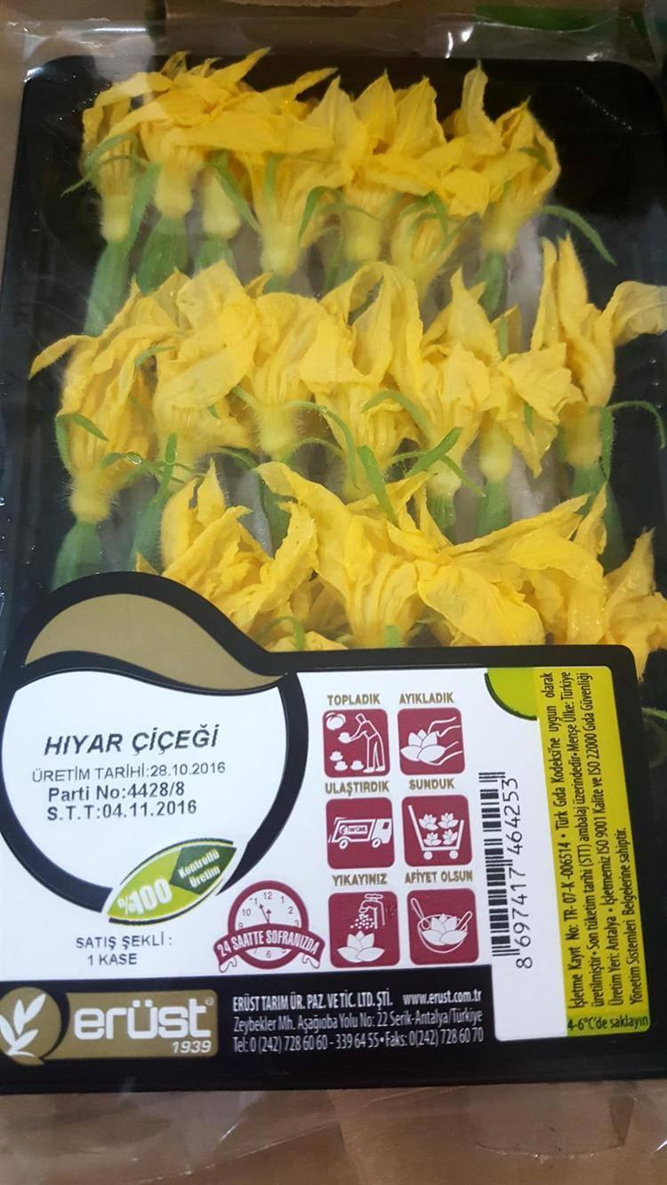 <p>Bu çiçeklerin bazı süpermarketlerde ‘yenebilir çiçek’ olarak satıldığını aktaran Erüst, "Ama yenilebilir çiçek olarak bilinmedikleri için insanlar şaşırıyor. Marketlerde aşırı satışımız yok. Daha çok özel düğün ve yemeklerde şeflerimiz tarafından tercih ediliyor. Antalya’da 5 yıldızlı otellerde, İstanbul’daki düğünler ve özel gecelerde, lüks marketlerde yine reyonlarımız mevcut. Birçok ünlü müşterimiz de var" dedi.</p>

<p> </p>

