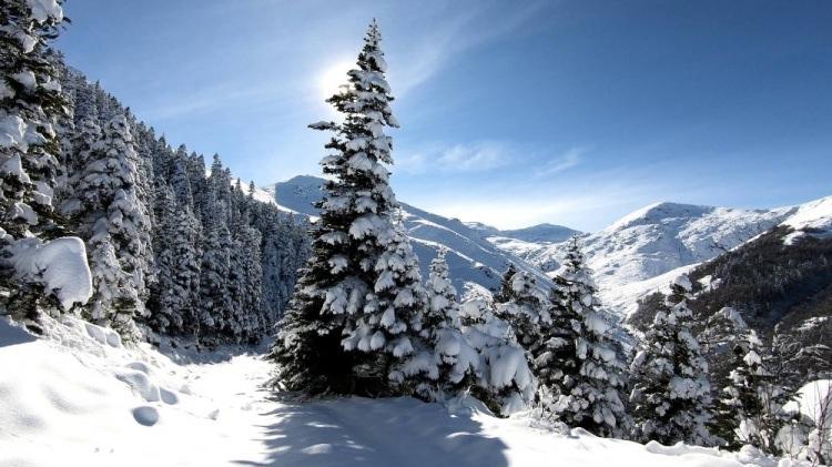 <p>BURSA</p>
