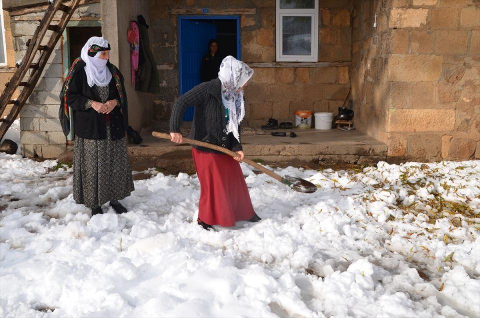 <p>Muş</p>
