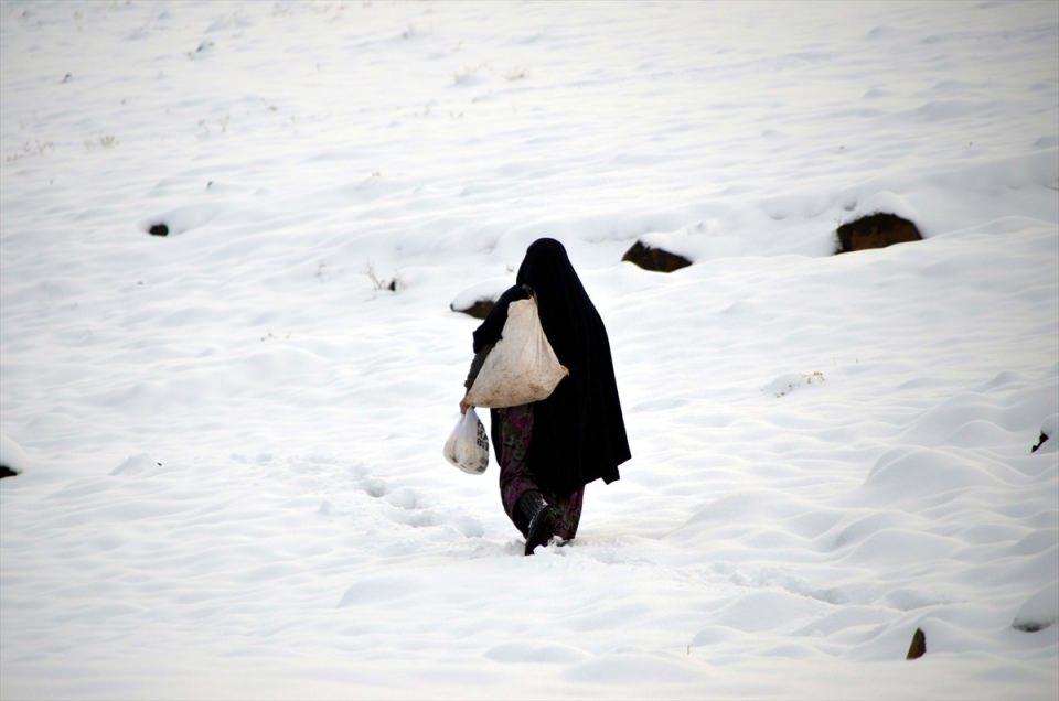 <p>Muş</p>
