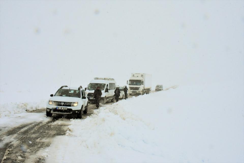 <p>Muş </p>
