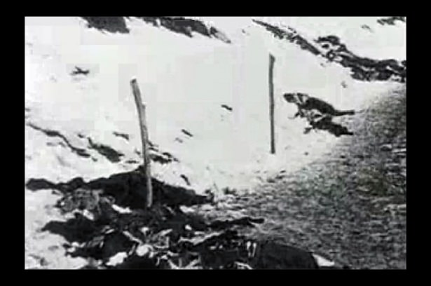 <p>29 Aralık:10. Kolordu Sarıkamış bölgesine geldi. Rus kuvvetleri, 9. ve 10. Kolordu'nun taarruzlarıyla oldukça sıkıntılı saatler yaşadı. Türkler, Sarıkamış İstasyonu ve kuzeyiyle köprüye kadar girdi. Ruslar, karşı taarruzlarla cephesini düzeltti.</p>
<p> </p>