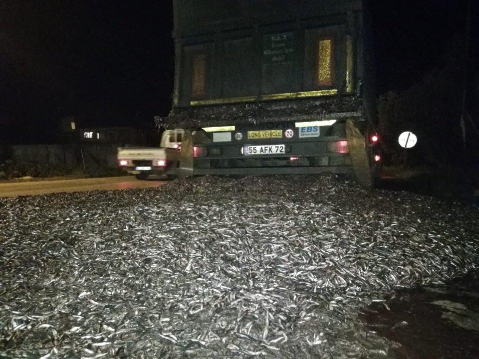 <p>Yola dökülen hamsiler İznik Belediyesi ekiplerince kepçe ile toplanarak kamyonlara yüklendi. Yaklaşık bir saatlik çalışmanın ardından ulaşıma kapanan yol, tekrar trafiğe açıldı. </p>
