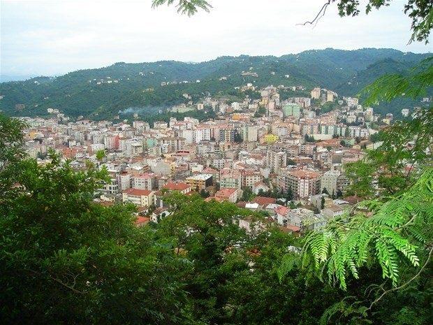 <p>Giresun</p>
<p>GS: % 33<br />
FB: % 21<br />
BJK: % 19</p>
