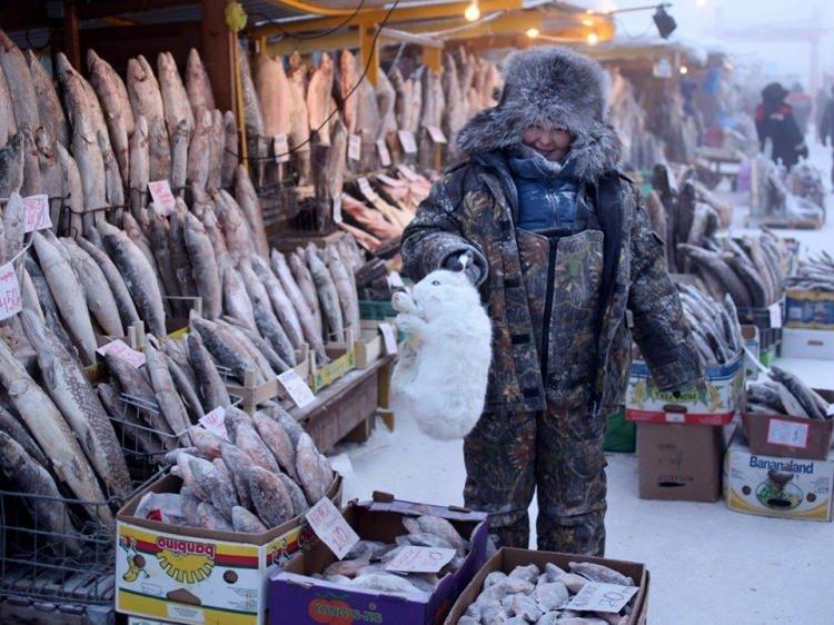 <p>Bu aşamada konuşmak da mümkün olmuyor. Düşünceler dağılıyor, giderek aklımız karışıyor, bağlantıları kurmakta zorlanıyoruz. Vücut tasarruf programını hayata geçiriyor. Ancak bu da bir müddet sonra etkisini göstermemeye başlıyor.</p>
