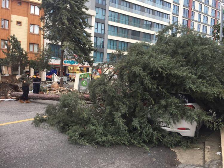 <p>Alınan bilgiye göre, Site Mahallesi Atay Caddesi'nde şiddetli rüzgar, bir ağacı kökünden sökerek devirdi. Devrilen ağaç, park halindeki bir otomobilde hasara neden oldu.</p>

<p> </p>
