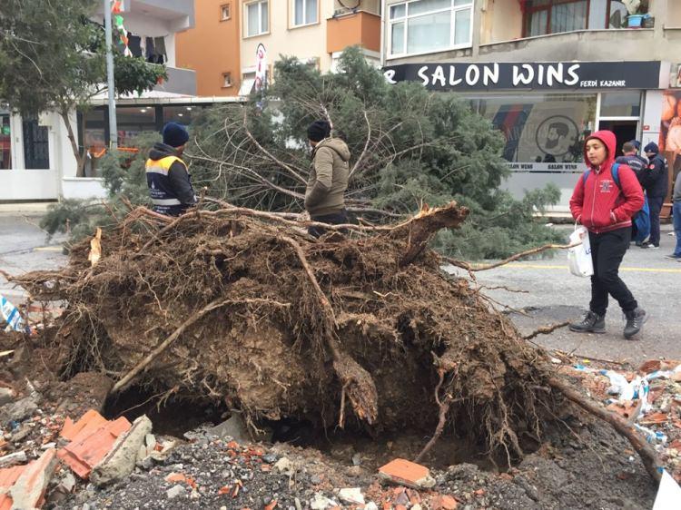 <p>Ümraniye'de fırtınanın etkisiyle devrilen ağaç, park halindeki otomobilde hasara neden oldu.</p>

<p> </p>

