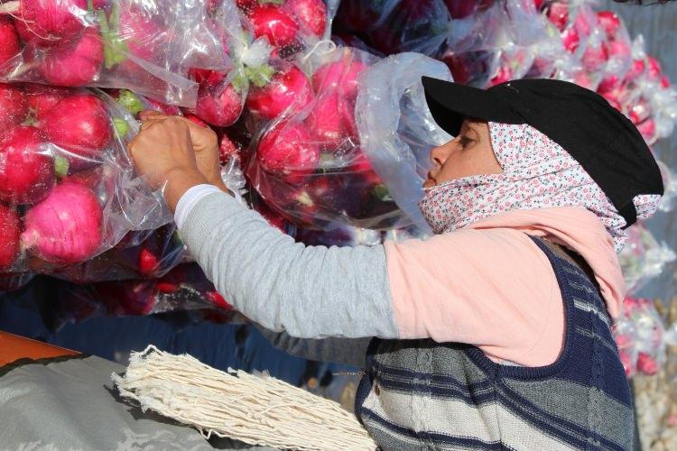 <p>&Ouml;zellikle 5 ay s&uuml;ren sezon boyunca yaklaşık bu işten 6 bin kişi istihdam edilerek ekmek yiyor. Turp hasadı Kasım&rsquo;ın ilk haftası başlar Mart ayının sonunda biter.&nbsp;</p>
