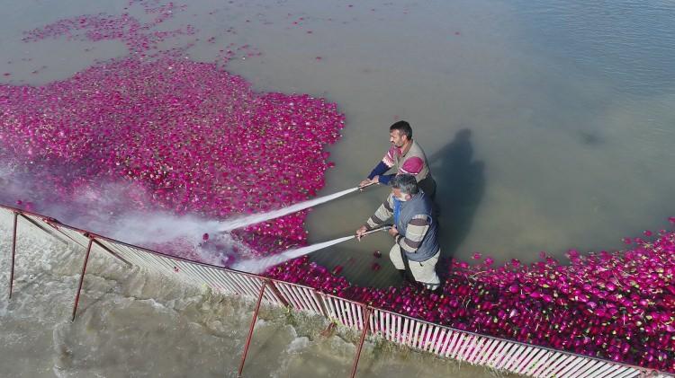 <p>Turp &uuml;retmek paketlemek tamamen el emeği g&ouml;z nuru. T&uuml;rkiye&rsquo;nin turp &uuml;retiminin y&uuml;zde 80&rsquo;ini Kadirli karşılıyordu.&nbsp;</p>
