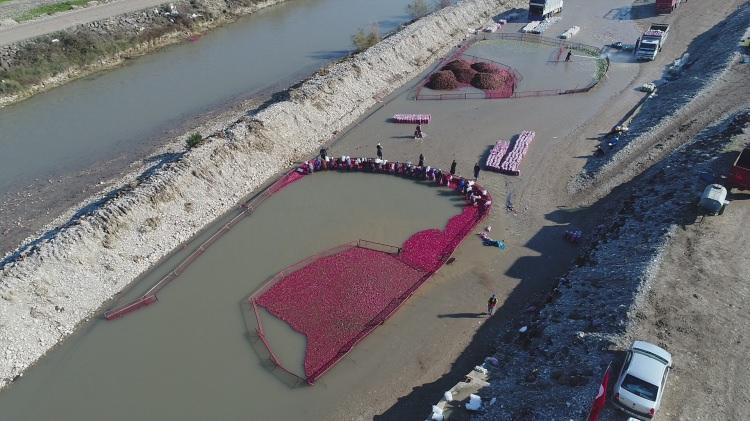 <p>&Ccedil;oğunluğunu kadınların oluşturduğu iş&ccedil;iler turpları tek tek yıkayarak paketleyip satışa hazır hale getiriyor. Kadınların torbaladığı turplar erkek iş&ccedil;iler tarafından kamyonlara y&uuml;kleniyor.&nbsp;</p>
