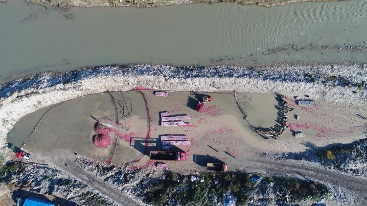 <p>Sofralarda da lezzetle yenen turp b&ouml;brek taşı, astım, sarılık, &ouml;ks&uuml;r&uuml;k ve romatizma gibi hastalıklara da iyi geliyor.</p>
